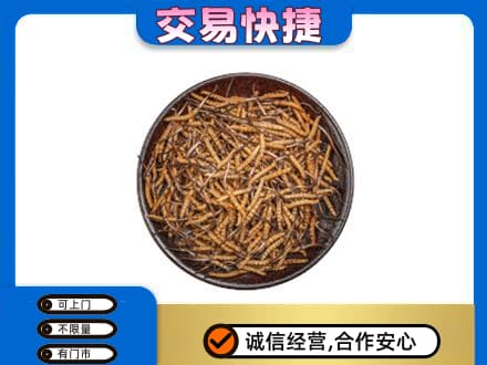 伊犁和布克赛尔县回收散虫草